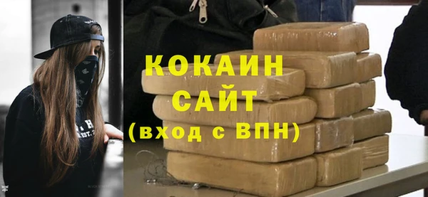 ECSTASY Ельня