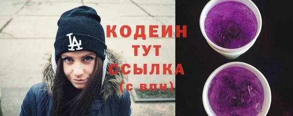 ECSTASY Ельня