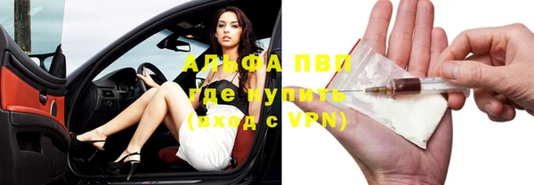 ECSTASY Ельня