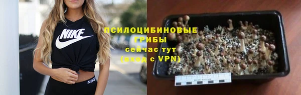 MESCALINE Елабуга
