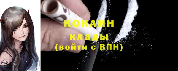ECSTASY Ельня