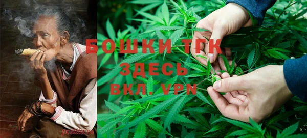 ECSTASY Ельня