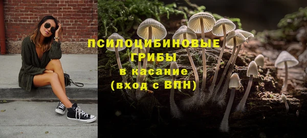 герыч Елизово