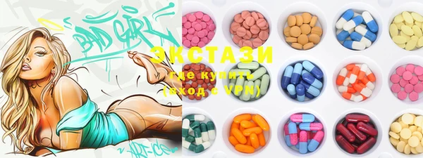 ECSTASY Ельня