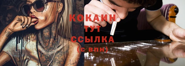 ECSTASY Ельня