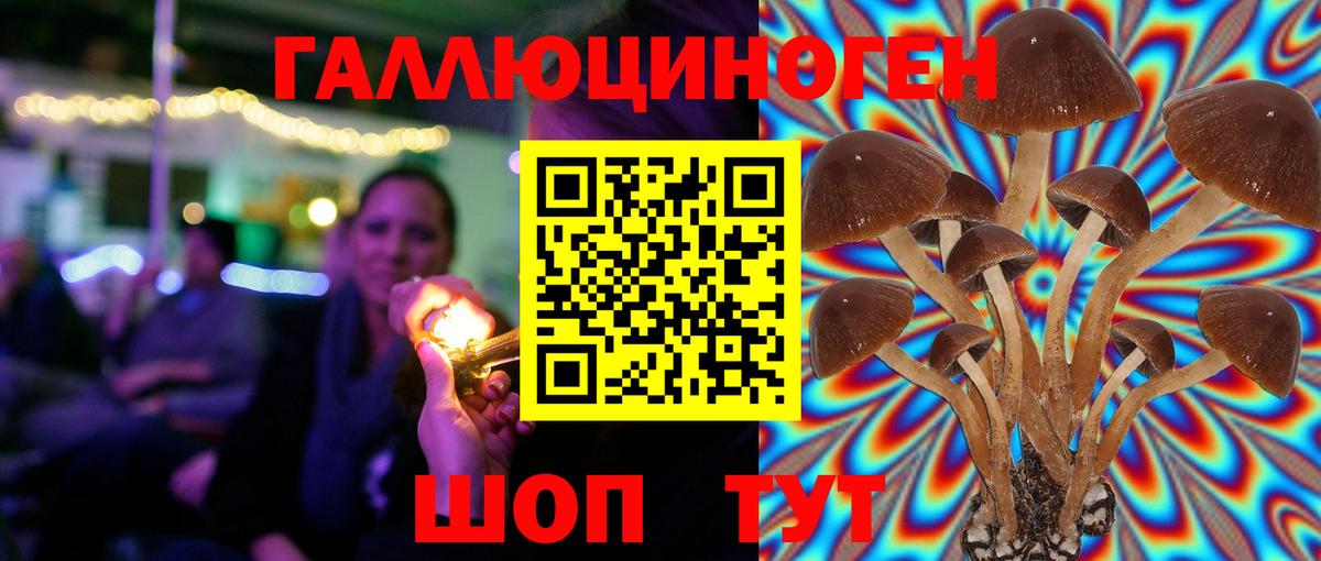 Галлюциногенные грибы мицелий Саяногорск