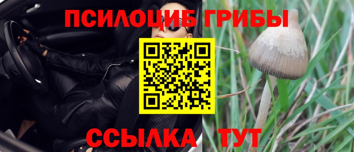 Галлюциногенные грибы мухоморы  Вход с VPN  Галлюциногенные грибы MAGIC MUSHROOMS  Саяногорск 